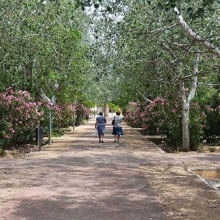 Belchite Apartment Valencia Ngoại thất bức ảnh